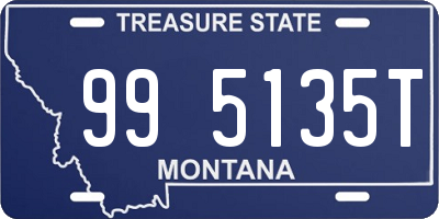 MT license plate 995135T