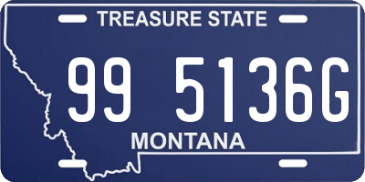 MT license plate 995136G