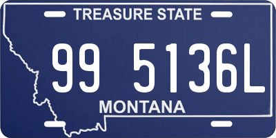 MT license plate 995136L