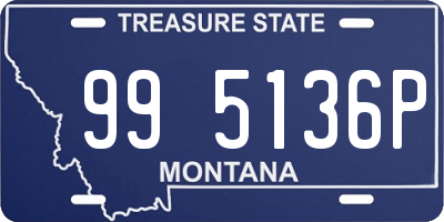 MT license plate 995136P