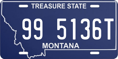 MT license plate 995136T