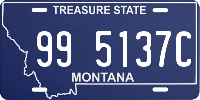 MT license plate 995137C