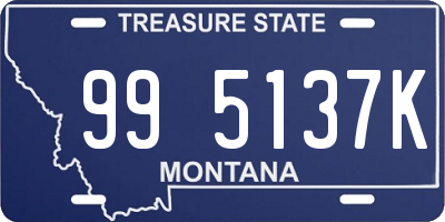 MT license plate 995137K