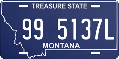 MT license plate 995137L