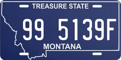 MT license plate 995139F