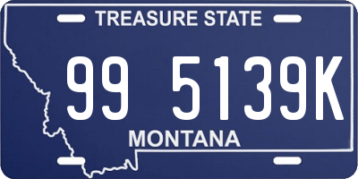 MT license plate 995139K