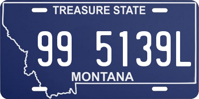 MT license plate 995139L