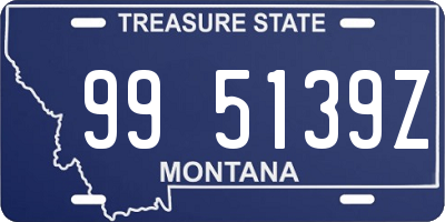 MT license plate 995139Z