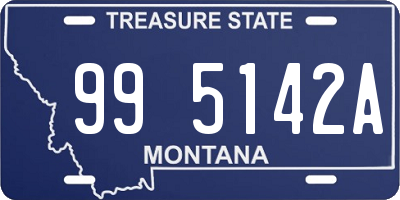 MT license plate 995142A