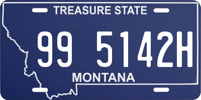 MT license plate 995142H