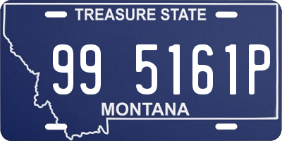 MT license plate 995161P