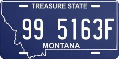 MT license plate 995163F