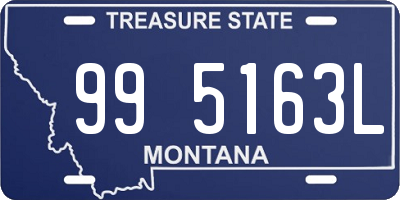 MT license plate 995163L