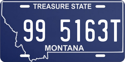 MT license plate 995163T