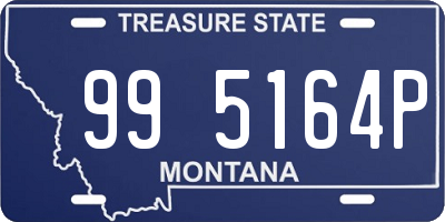 MT license plate 995164P