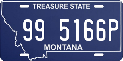MT license plate 995166P