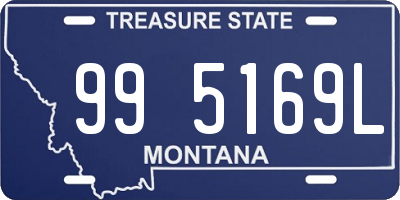 MT license plate 995169L