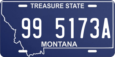 MT license plate 995173A