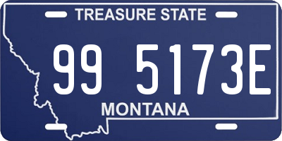 MT license plate 995173E