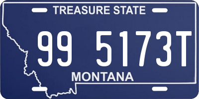 MT license plate 995173T