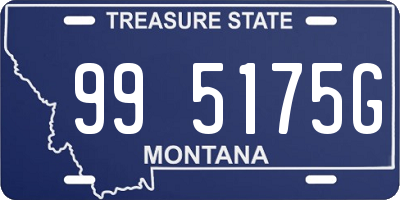 MT license plate 995175G