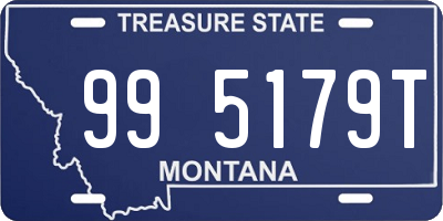 MT license plate 995179T