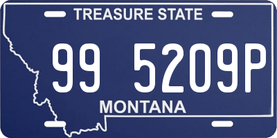 MT license plate 995209P