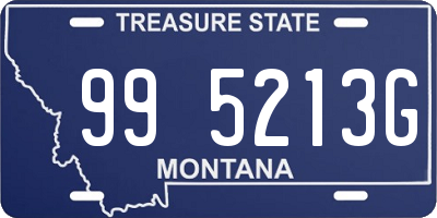 MT license plate 995213G