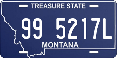 MT license plate 995217L