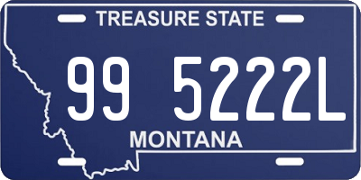 MT license plate 995222L