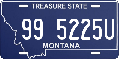 MT license plate 995225U