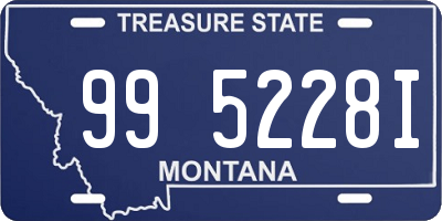 MT license plate 995228I