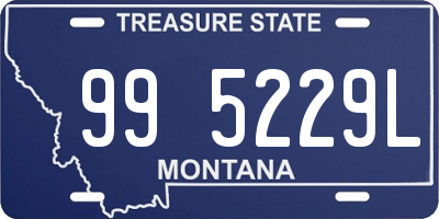 MT license plate 995229L