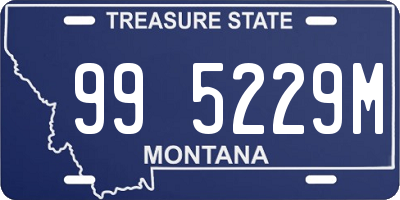 MT license plate 995229M