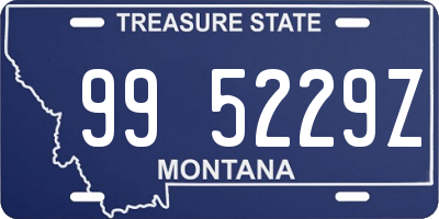 MT license plate 995229Z