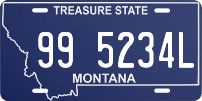 MT license plate 995234L