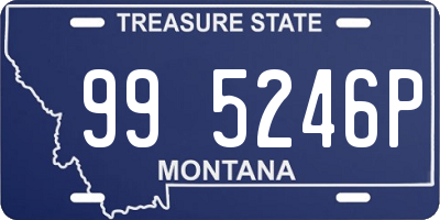 MT license plate 995246P