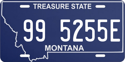 MT license plate 995255E