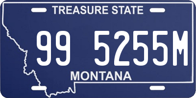 MT license plate 995255M