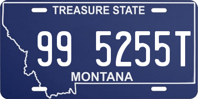 MT license plate 995255T