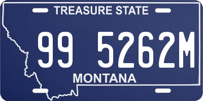 MT license plate 995262M