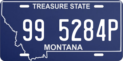 MT license plate 995284P