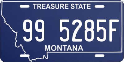 MT license plate 995285F