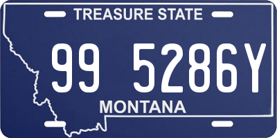 MT license plate 995286Y