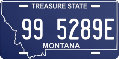 MT license plate 995289E