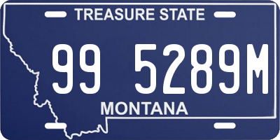 MT license plate 995289M