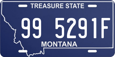 MT license plate 995291F