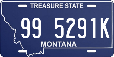 MT license plate 995291K