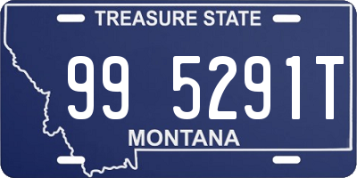 MT license plate 995291T