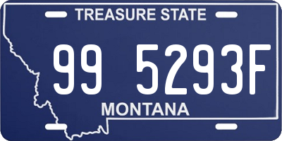 MT license plate 995293F